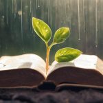 nurturing faith through scripture