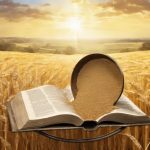 biblical meaning of sifting