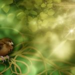 brown finches in bible